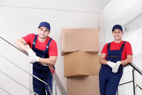 Professional movers loading items for Anerley relocation