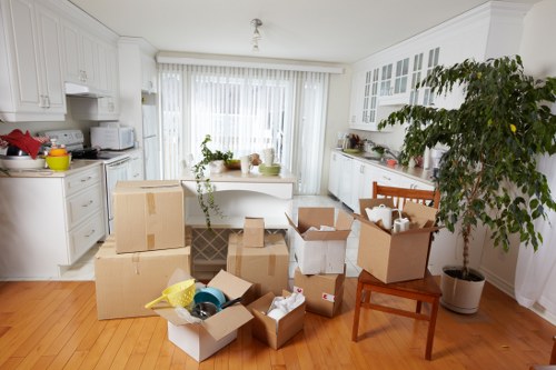 Careful packing of fragile items during flat removals in Anerley