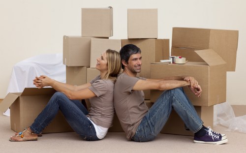 Anerley household storage service for moving, renovation, and decluttering