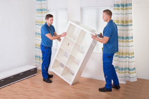 Packed boxes and furniture prepared for long-term storage in Anerley