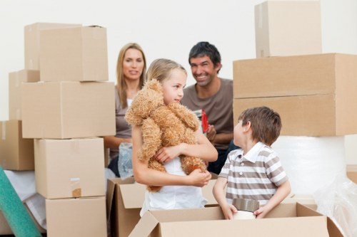 Careful handling of household items during an Anerley relocation